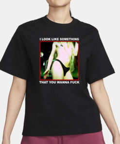 Back Of The Truck I Look Like Something That You Wanna Fuck Shirt Shirt3