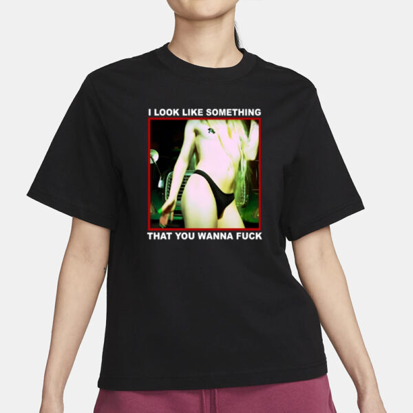 Back Of The Truck I Look Like Something That You Wanna Fuck Shirt Shirt3