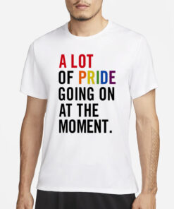 Chicwincy A Lot Of Pride Going On At The Moment T-Shirt1