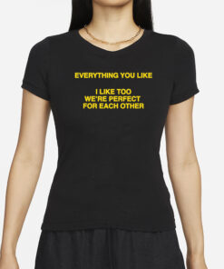 Everything You Like, I Like Too We're Perfect For Each Other T-Shirt