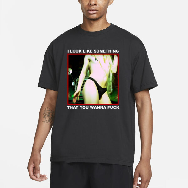 Mimi Zima X Girl Of Swords Back Of The Truck I Look Like Something That You Wanna Fuck T-Shirt3