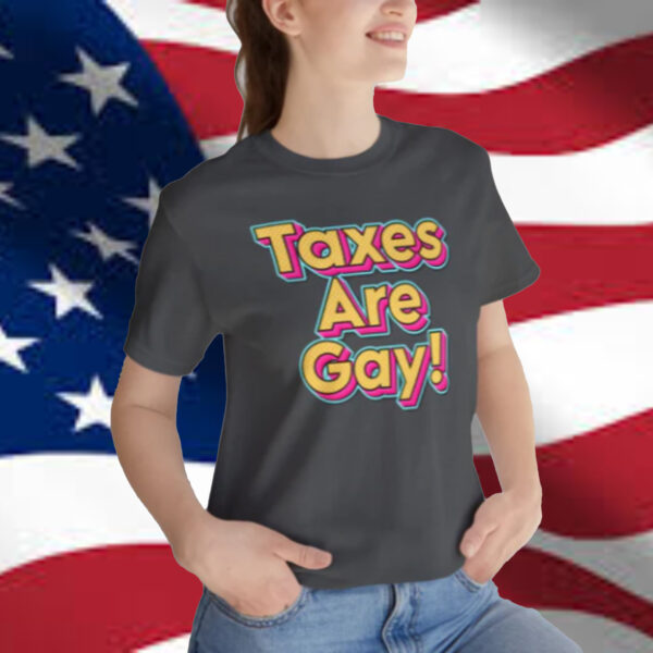Taxes are Gay T-Shirt2