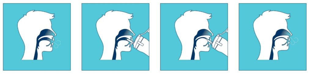 Everyday Mewing: “Mew While You Drink” for Better Tongue Posture ...