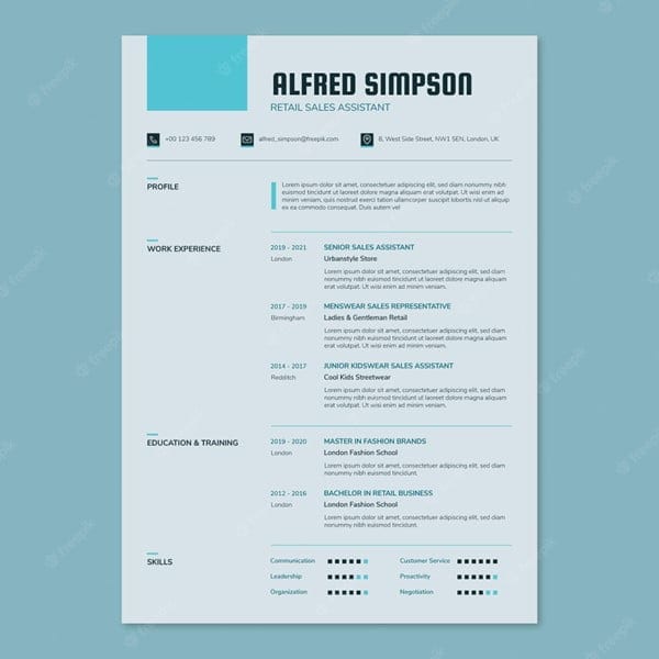 Image at brianvanderwaal.com/personal-profile-for-cv of a CV with a Personal Profile on the top of the CV