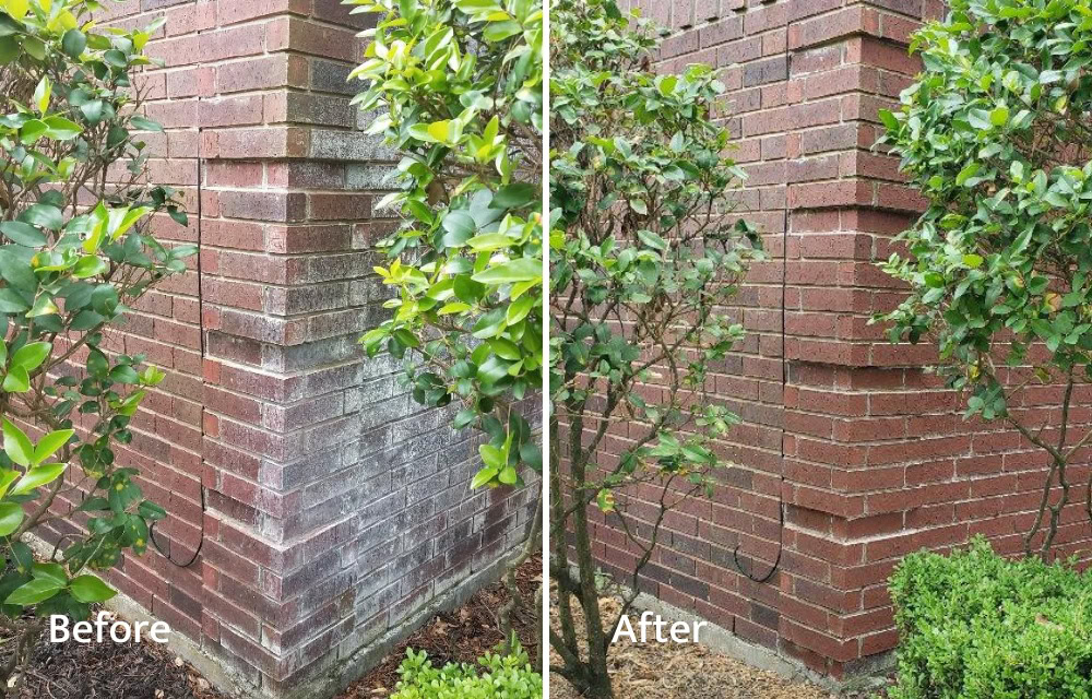 Efflorescence Repair Before and After