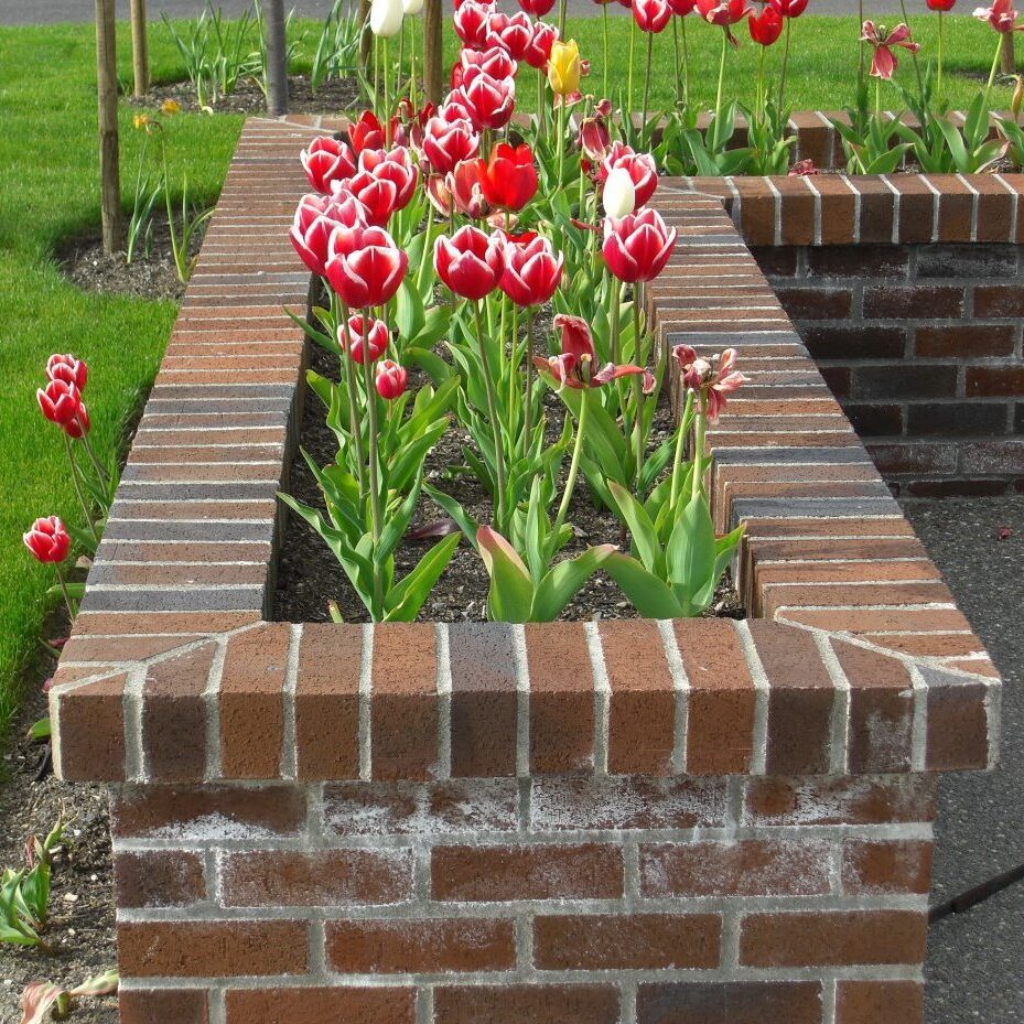 Brick Garden Boxes brick garden box with flowers