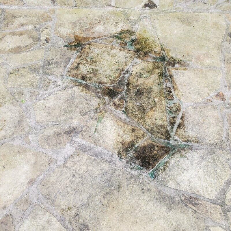 Stone Pavers Needing Pressure Washing Stone Pavers Needing Pressure Washing
