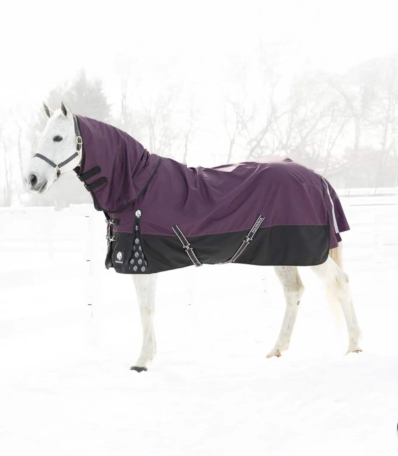 Equinavia Thunder 360 Detachable Neck Mid Weight Turnout Blanket 200g
