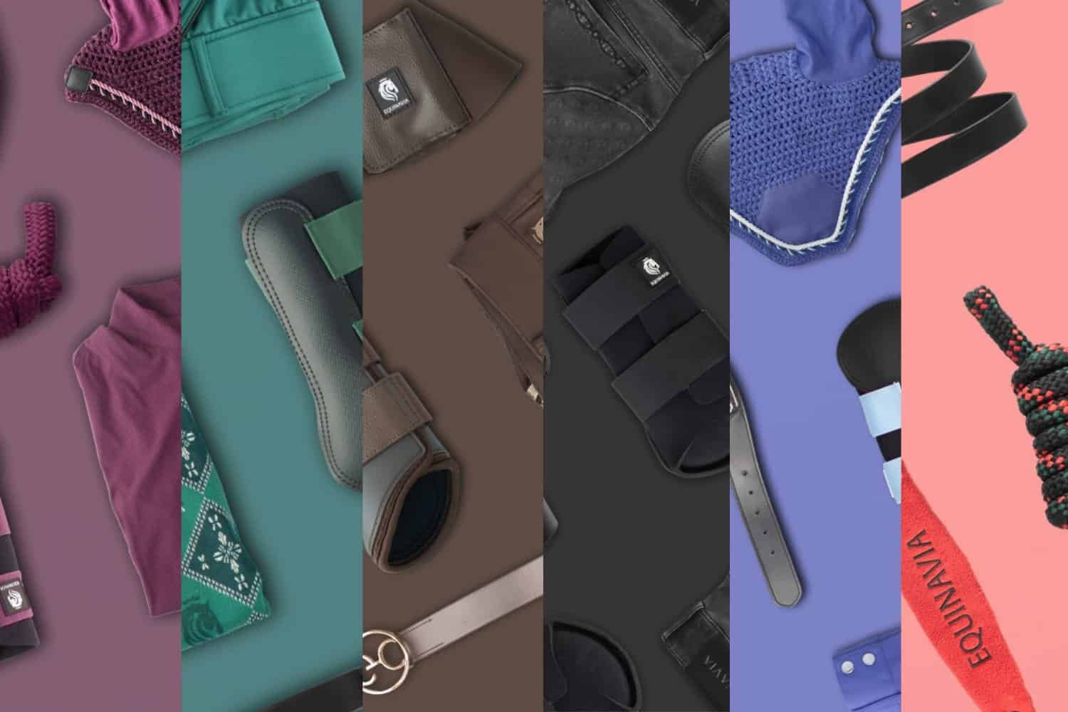 Matching Equestrian Gear