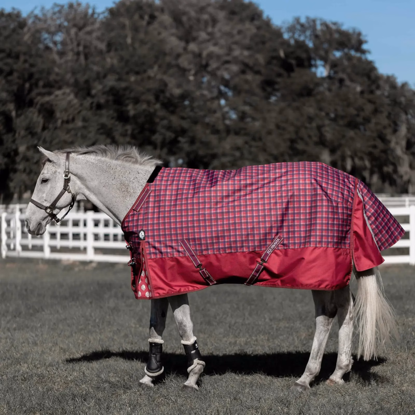 Equinavia Arktis Regular Neck Mid Weight Turnout Blanket 200g
