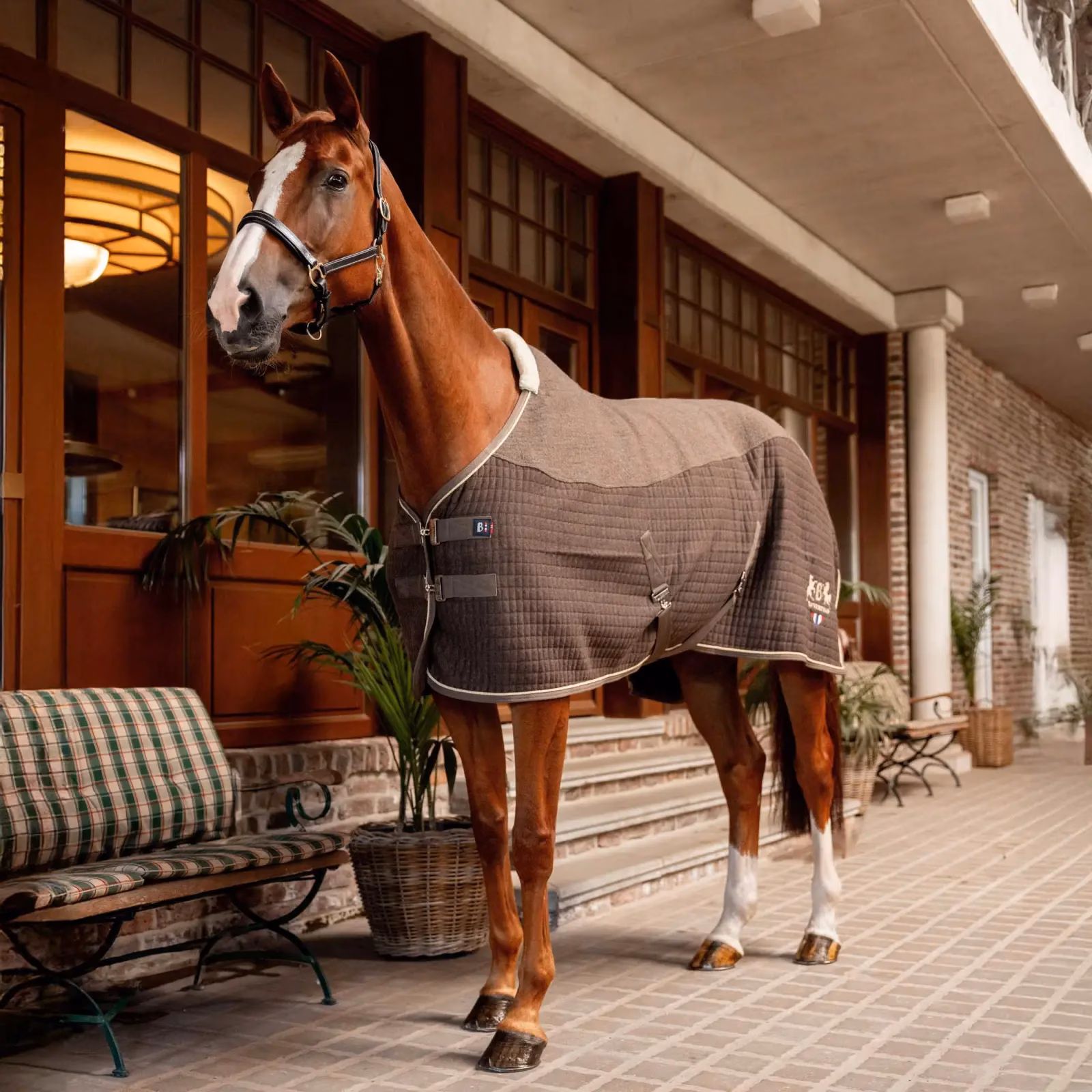 B Vertigo High Altitude Wool and Waffle Thermo Cooler