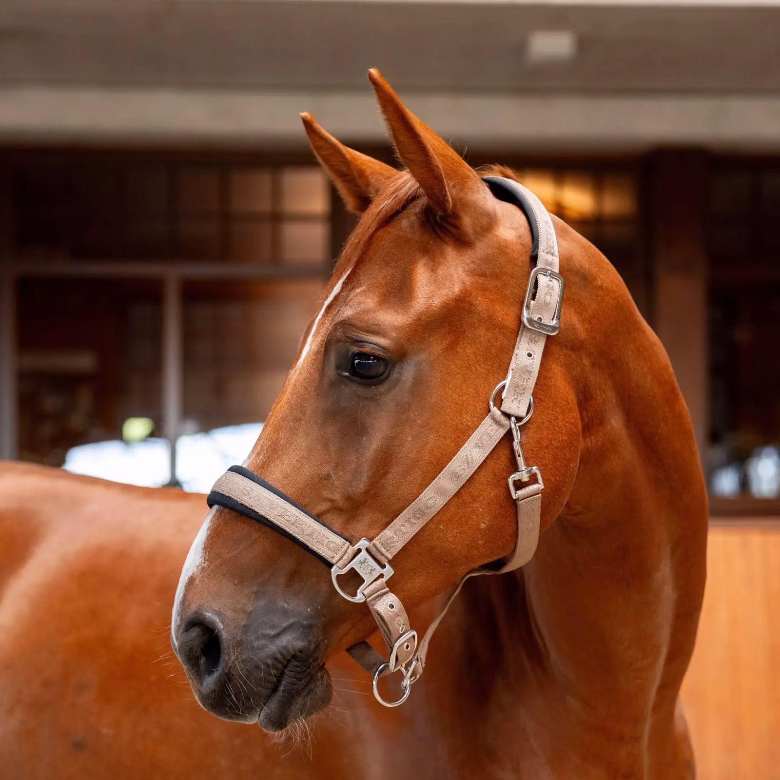 Horze Maddox PU Leather Body Brush