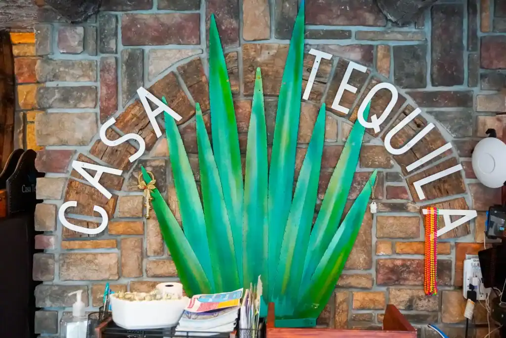 Casa Tequila Mexican Grill & Cantina sign with agave plant decor.