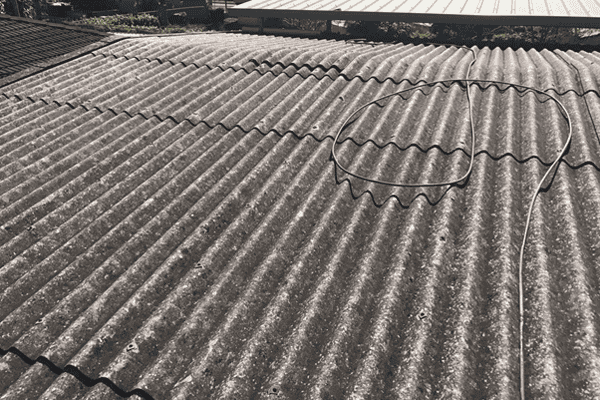 Before-Roof cleaning