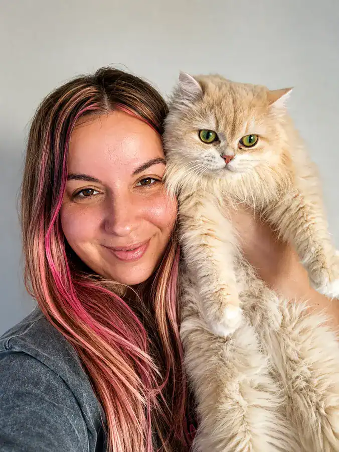 Gatito British Shorthair entregado en Sevilla, Andalucía