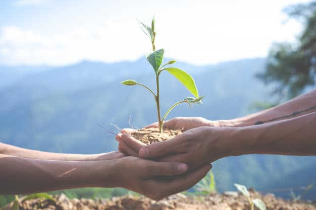 environmental-conservation