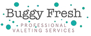 Buggy Fresh Professional Valeting Services logo