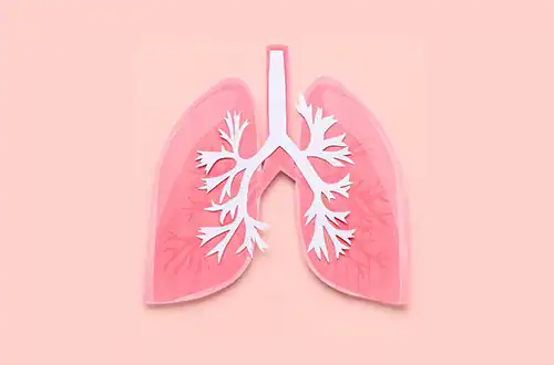 Illustration of human lungs on pink background
