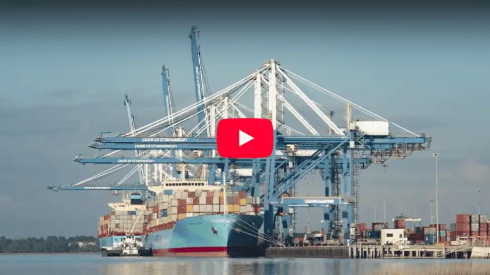 Container ship docked at the Port of Charleston with large blue cranes loading and unloading cargo under clear skies.