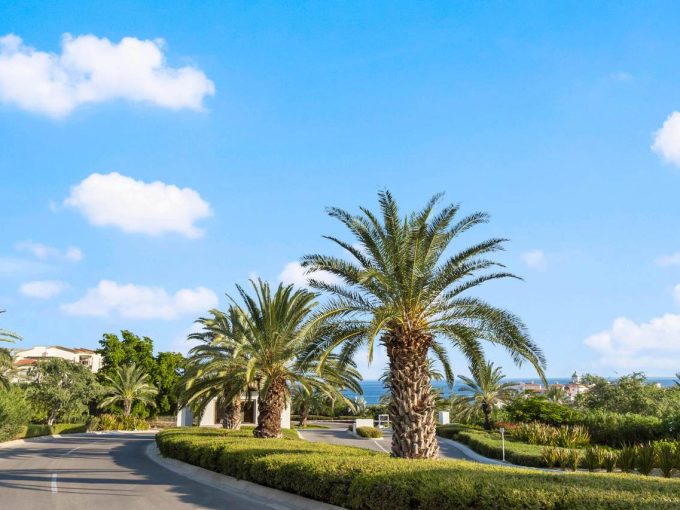 1280 Boomver 1 25 4446 1 – Cabo Real Estate