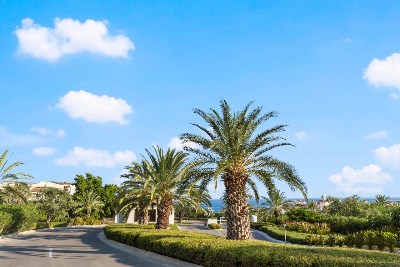 1280 Boomver 1 25 4446 1 – Cabo Real Estate