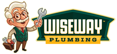 WiseWay Final Render (Footer)
