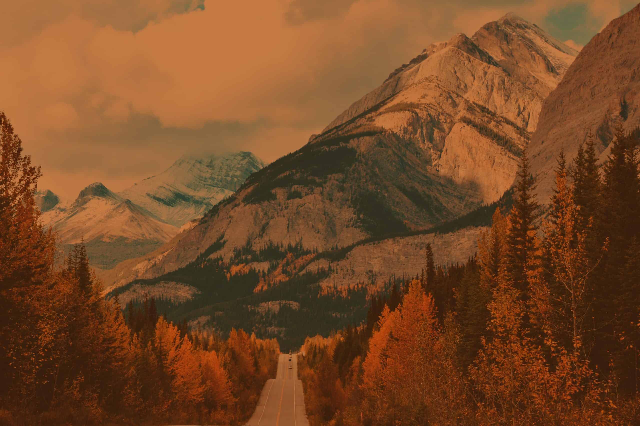 Mountain landscape with forest and road in autumn.