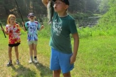 IMG_0783-Large
