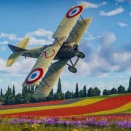 Vintage biplane flying over colorful tulip fields in a rural landscape.