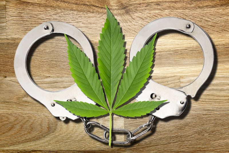 The Costly Mistake of Criminalizing Cannabis Possession