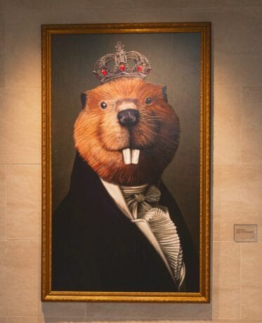 Portrait image of The Royal Sonesta Capitol Hill mascot.
