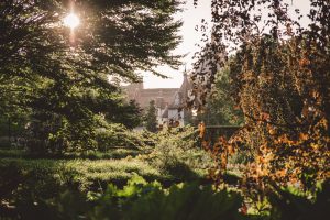 Day in the Life in de Efteling