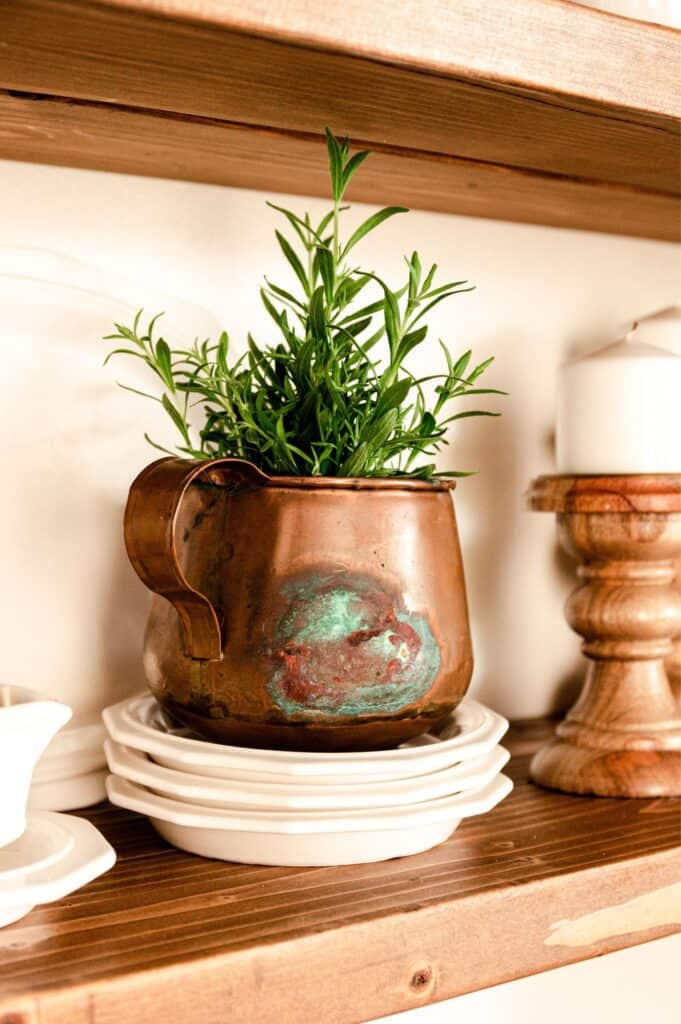 DIY Repurpose Vintage Dishes into Planters  Capturing Wonderland