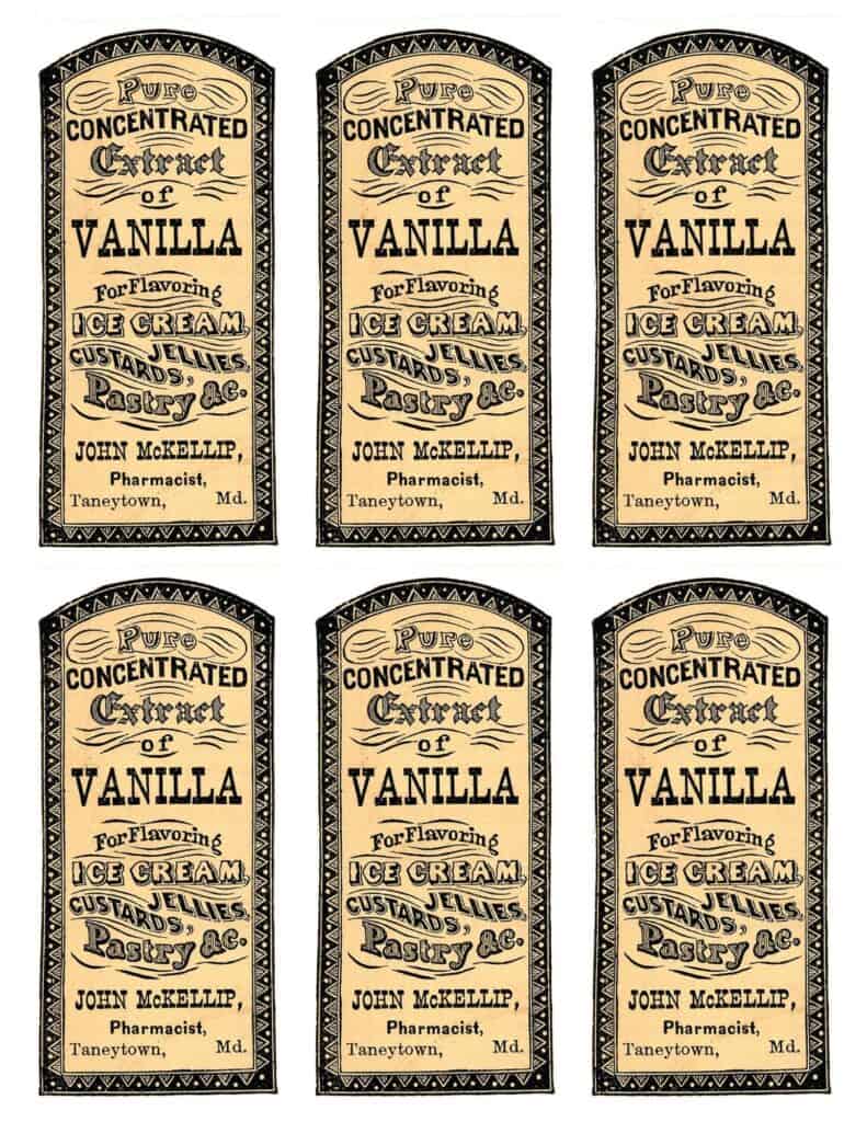 Homemade Vanilla Extract with Everclear — Capturing Wonderland for Free Printable Vanilla Extract Labels