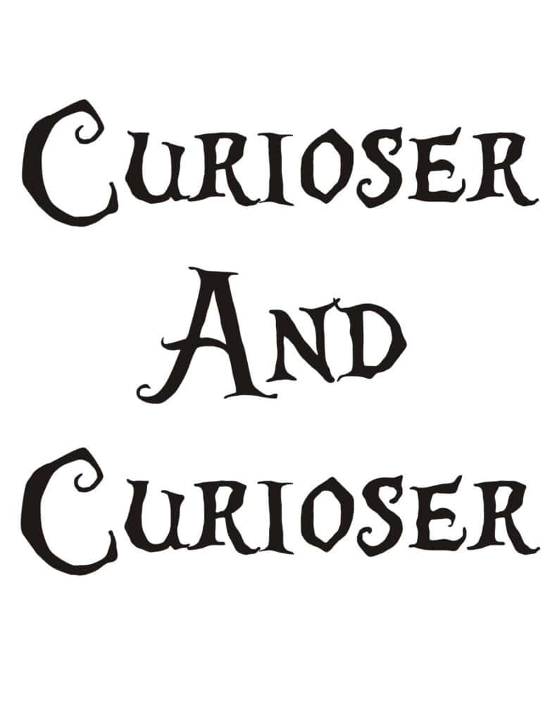 diy-alice-in-wonderland-directional-sign-post-capturing-wonderland