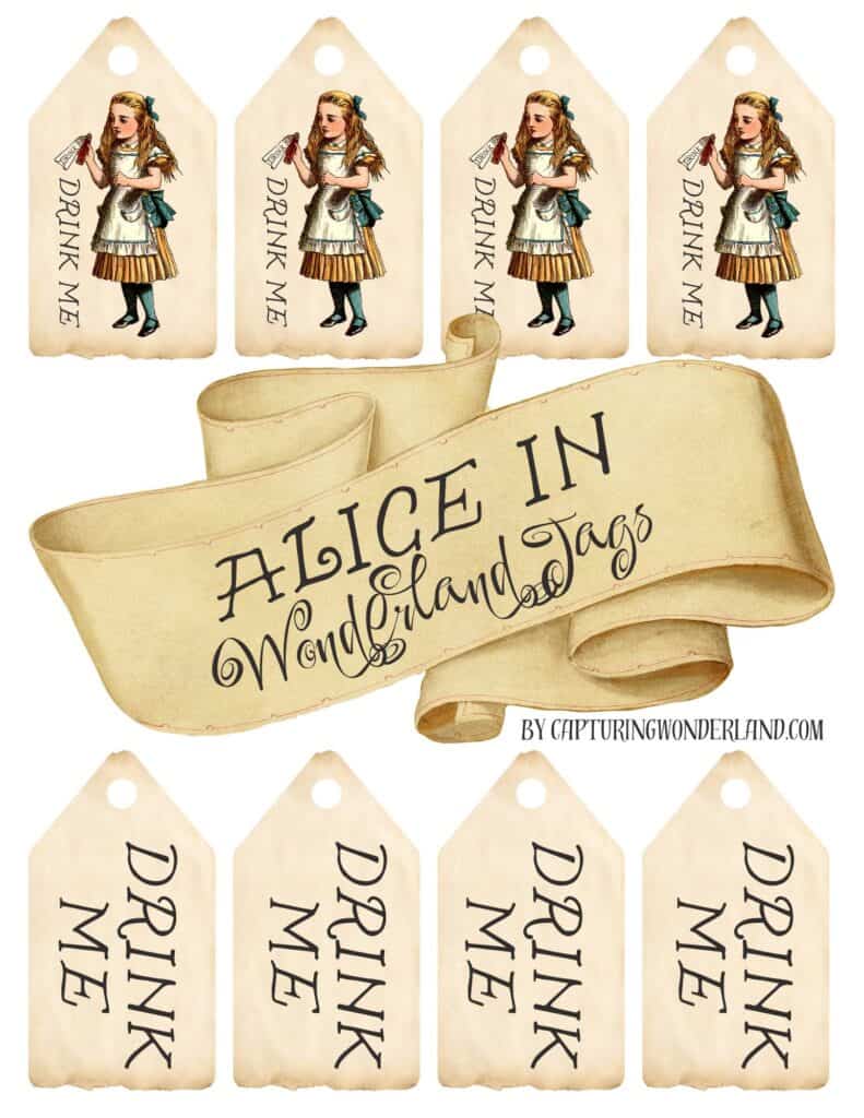 alice-s-adventures-in-wonderland-apothecary-labels-capturing-wonderland