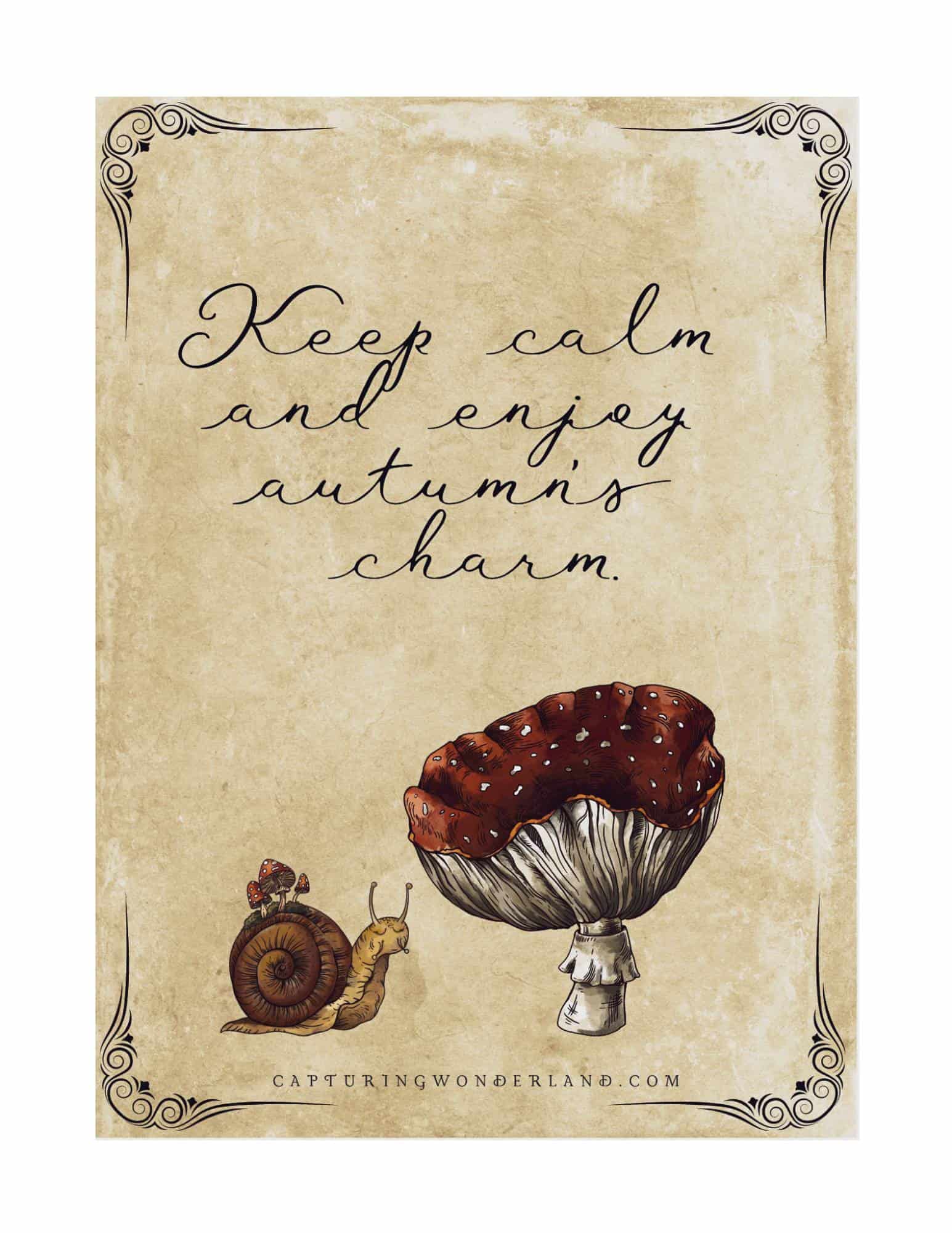 Fall Signs to Decorate for Autumn Free Printables — Capturing Wonderland
