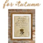 Fall Signs to Decorate for Autumn Free Printables — Capturing Wonderland