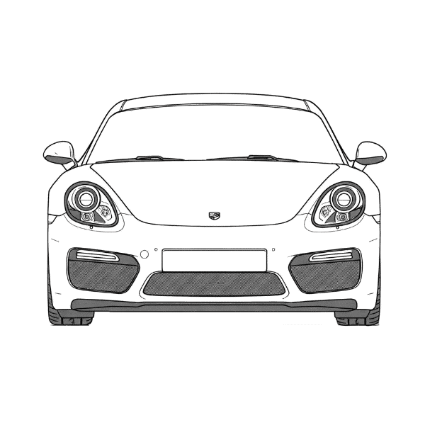 981 Cayman