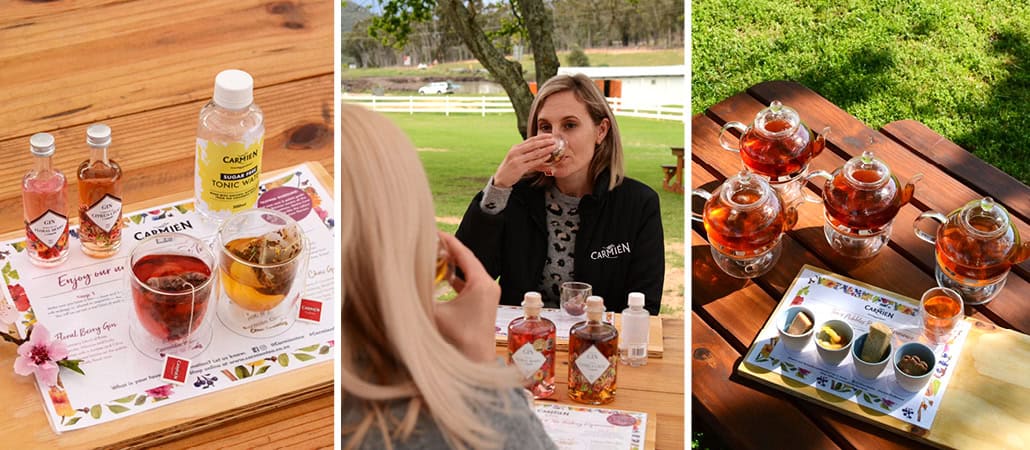carmien-tea-gin-tasting