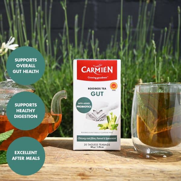 Gut with Probiotics and Chicory Root Fibre (20 Teabags) - Image 5