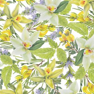 Online Gift Voucher (Creamy Mint)