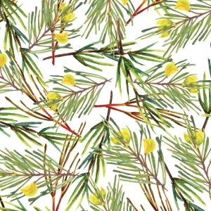 Online Gift Voucher (Pure Rooibos)