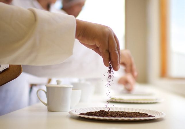 Tea