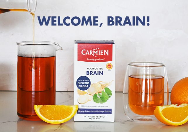 Carmien_international_blog_image_BRAIN