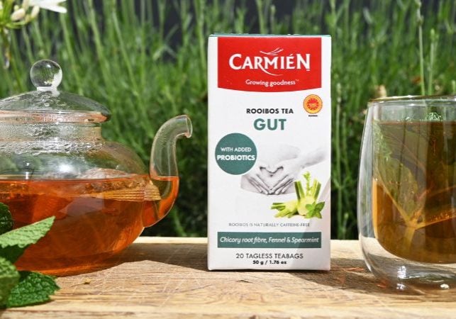 GUT