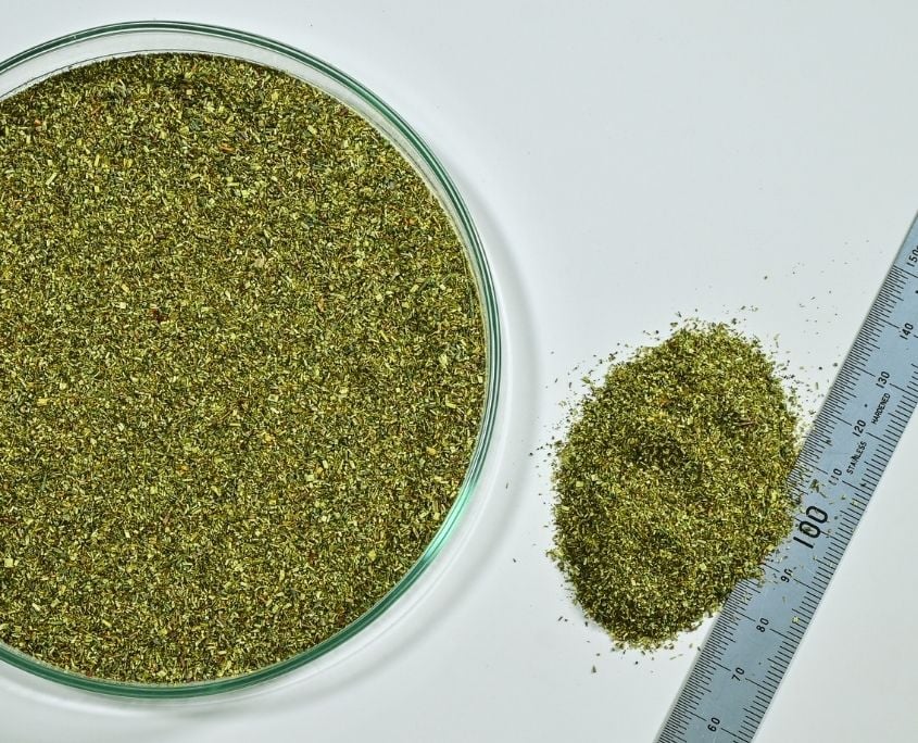 green-rooibos-dust