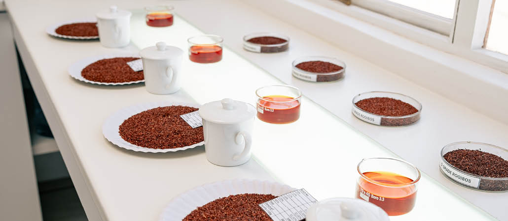 Various cuts of rooibos tea are laid out for grading