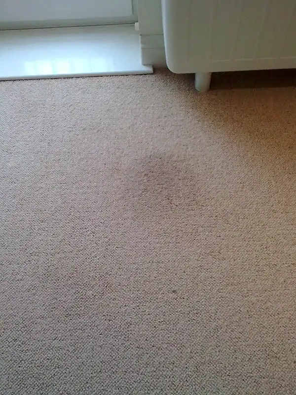 Before - carpet cleaning removes stain