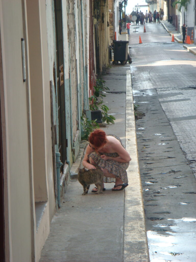 Woman feeding a street cat in Casco Viejo, showcasing the daily work of the Casco Cat Community